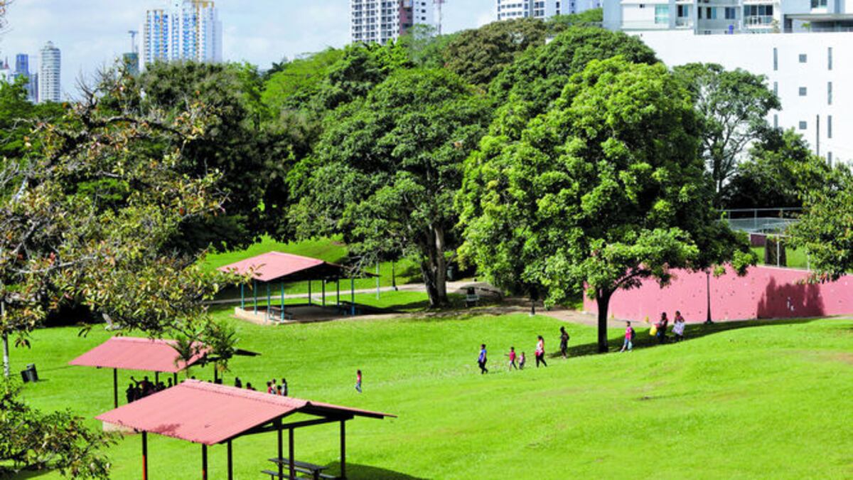 La remodelación general del parque Omar a un costo de 35 millones de dólares, que impulsa el Gobierno, es rechazada por varios sectores del país, que califican el proy