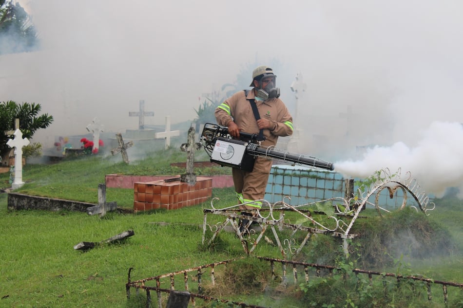 Dengue en Panamá: aumento del 80% en casos y 50 muertes en 2024