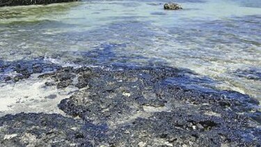 Investigan derrame de ‘bunker’ en costa de Colón