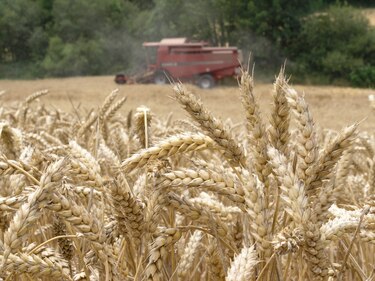 Valor de agroexportación europea aumentó 3.1% durante septiembre