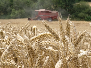 Valor de agroexportación europea aumentó 3.1% durante septiembre
