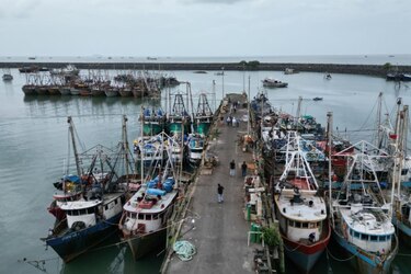 Unión Europea auditará a Panamá en diciembre; el país busca recuperar la tarjeta verde en la lucha contra la pesca ilegal