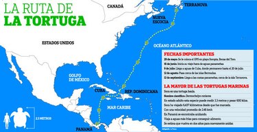 El viaje de Soca