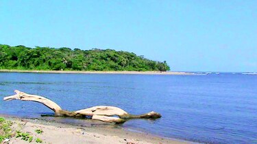 Investigan extracción de arena en playas de la costa atlántica