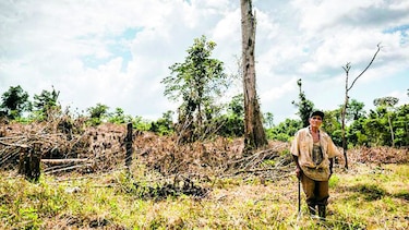 Intereses detrás del daño ambiental
