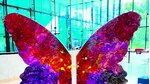 ‘ANANDA’, ARTE PANAMEÑO CONTRA LA DISCRIMINACIÓN
