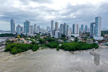 Manglares de Panamá, un amenazado ‘resort’ para las aves migratorias de América