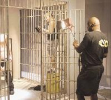 Se agrava escándalo en la industria porno