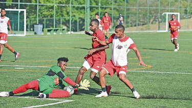 Recorte a la vista en la selección de Panamá