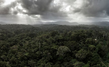 Actívate: Iniciativas para proteger y cuidar el medio ambiente en Panamá