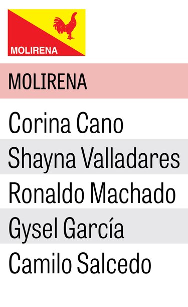 Estos son los candidatos a diputados que competirán por las cinco curules en el circuito 8-3