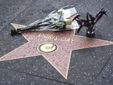 La voz y encanto de Doris Day