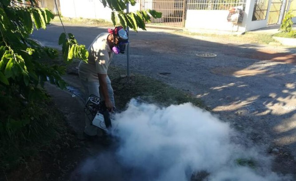 Se han reportado seis casos de virus hanta en Los Santos