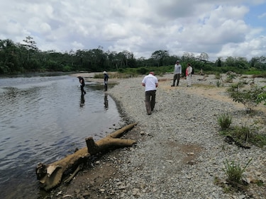 Impacto de la migración en Darién: gobierno evalúa  contaminación y daños ecológicos