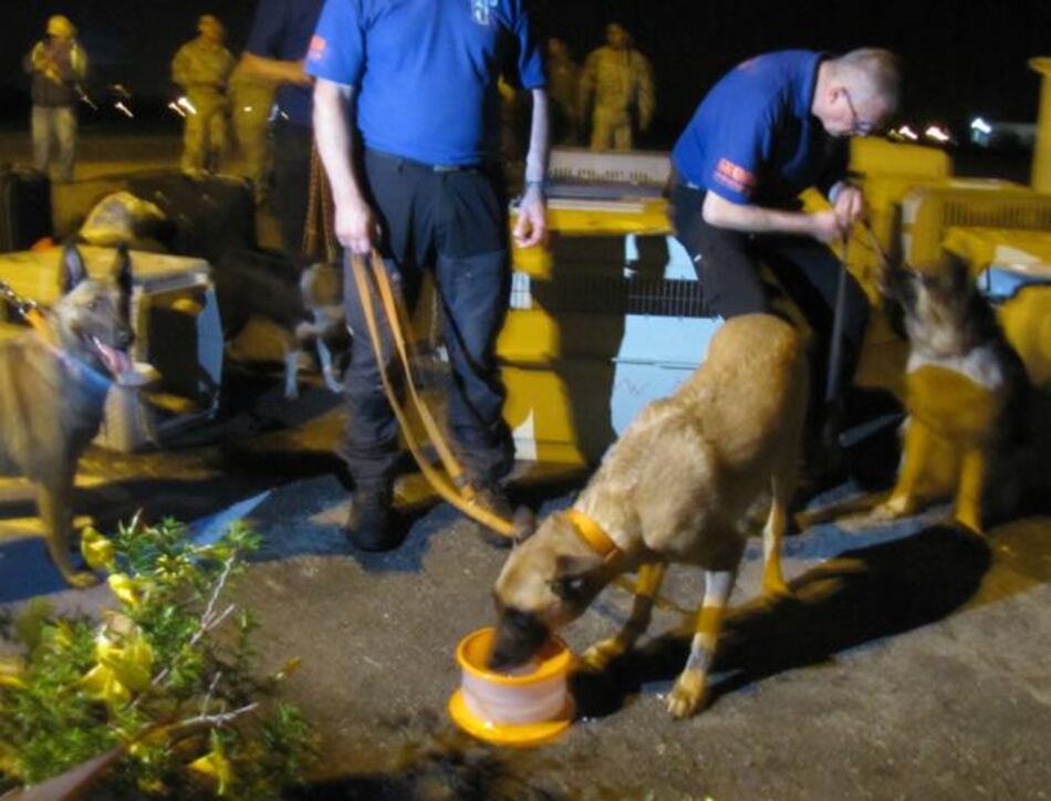 Nueva búsqueda de holandesas se realizará este martes