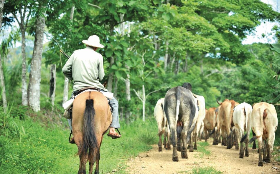 Corte Suprema falla a favor de indígenas en litigio de tierras