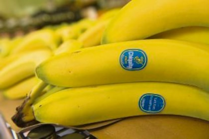 Chiquita Panamá cierra de forma definitiva la producción en tres fincas bananeras