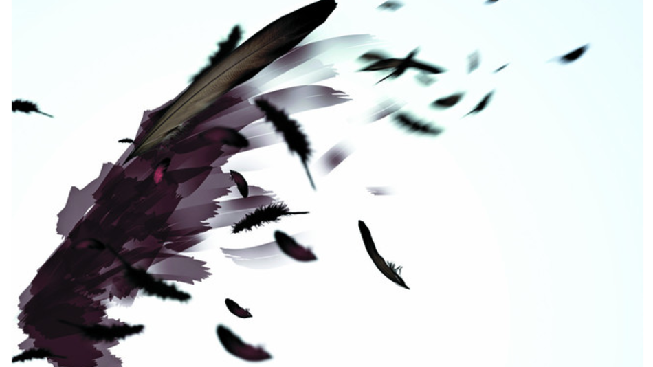 Fiesta del cine regional