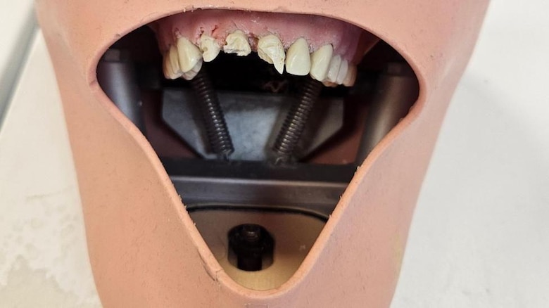 Cómo una crema dental hecha de tu propio pelo podría reparar tu dentadura
