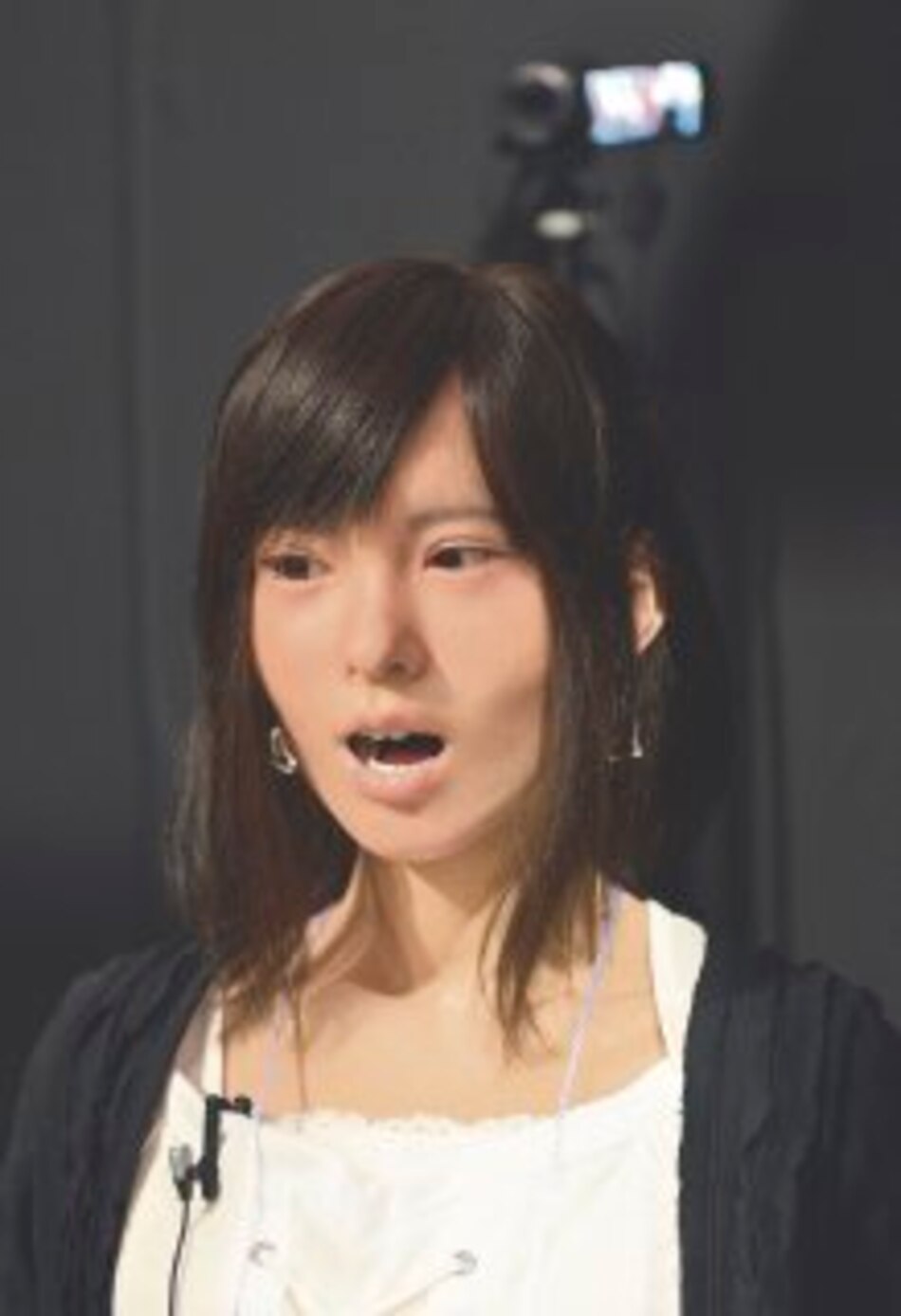 Feria de robots hiperrealistas