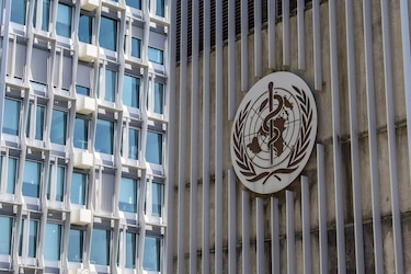 La OMS advierte que la distribución mundial de morfina es ‘desigual’