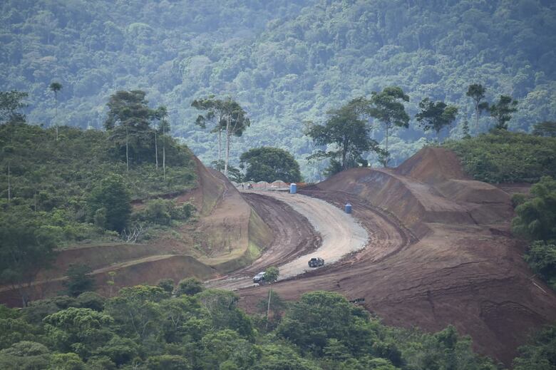 El Corredor del Caribe impacta 84 hectáreas, solo intervienen bosques secundarios: Rafael Sabonge
