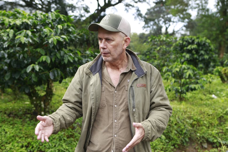 El secreto del geisha panameño: la historia detrás del café más caro del mundo 