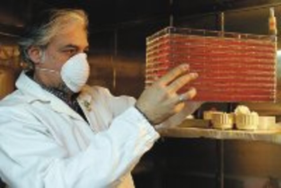 Gripe aviar llega a Italia