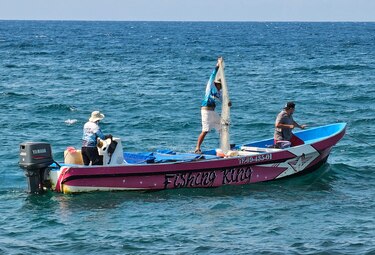 Tela, joya turística en el Caribe de Honduras, cumple 500 años de fundación por españoles