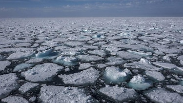 ‘El planeta en el que nosotros nacimos ya no existe’: el climatólogo que alerta de la epidemia de eventos extremos