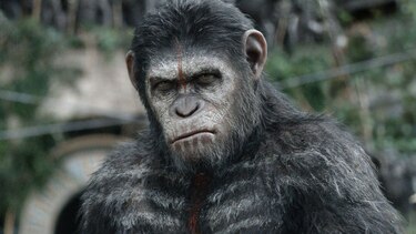 Fechas de algunos estrenos cinematográficos