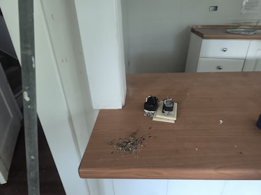 Hurto de cables en Gamboa deja daños económicos en propiedad del Smithsonian