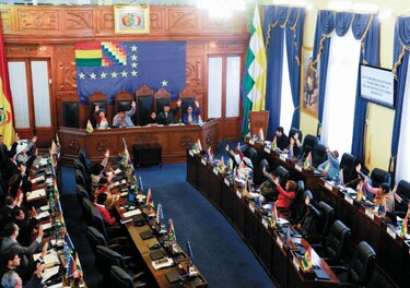 Bolivia hará nuevas elecciones sin Morales
