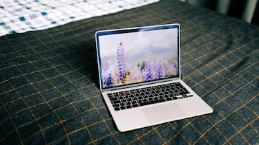 Cómo estar apenas 20 minutos en contacto con la naturaleza puede mejorar tu salud