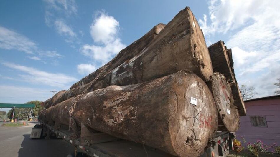 Darién, bajo amenaza