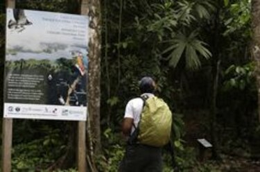 Atesoran la huella del jaguar al otro lado del lago Alajuela