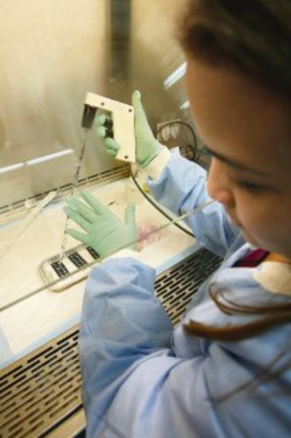 Crean células hepáticas