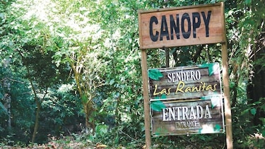 ‘Canopy’ irá otra vez a subasta
