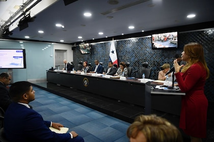 Proyecto que deroga la ley de transparencia distorsiona el modelo recomendado por la OEA