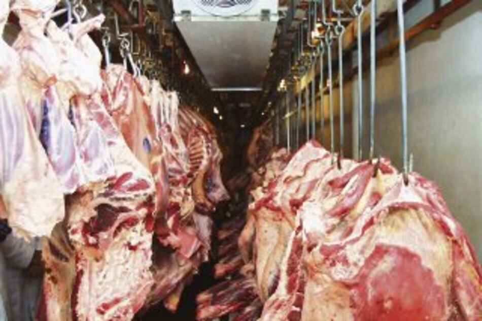 Cambio de ministro paró proyecto