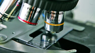 Las prioridades de la investigación en salud
