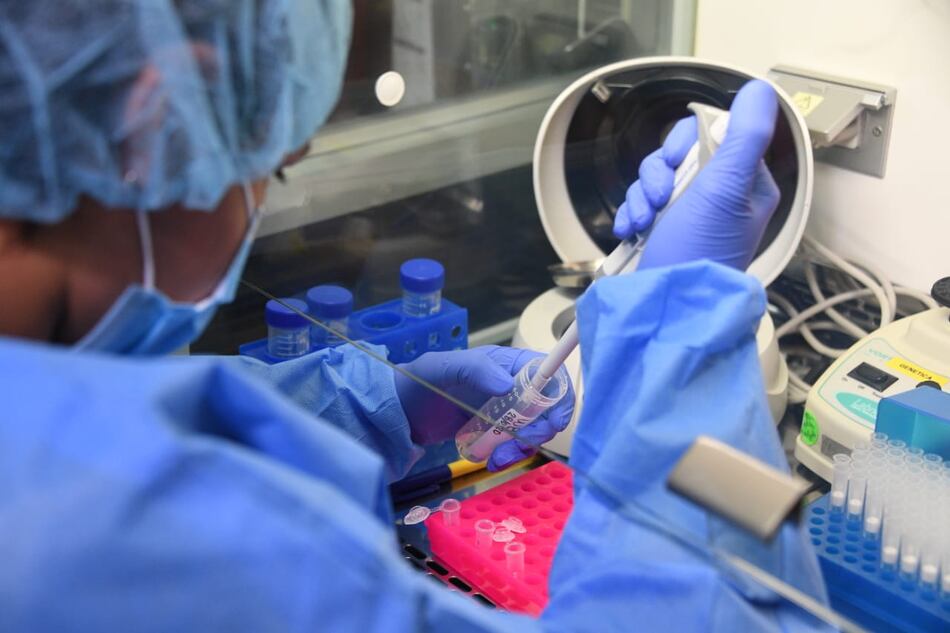 Tres variantes del coronavirus halladas en 14 países de las Américas