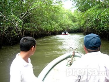 Refuerzan seguridad en isla Cañas para controlar el narcotráfico