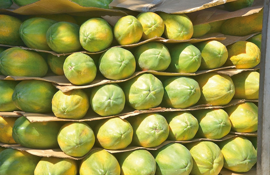 El milagro de la papaya
