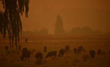 Vientos huracanados generan en Australia un gigantesco ‘megaincendio’
