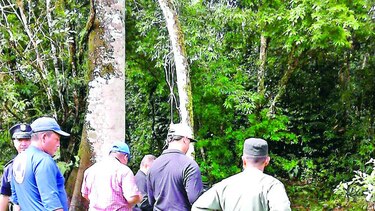 A siete llega la cifra de muertes por inmersión en Bocas