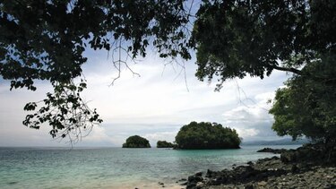 CIAM pide transparencia en desarrollo de turismo en Coiba