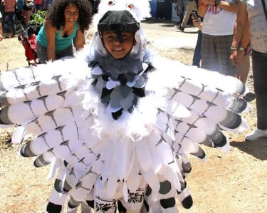 Miles disfrutan del día del águila harpía en el parque Summit
