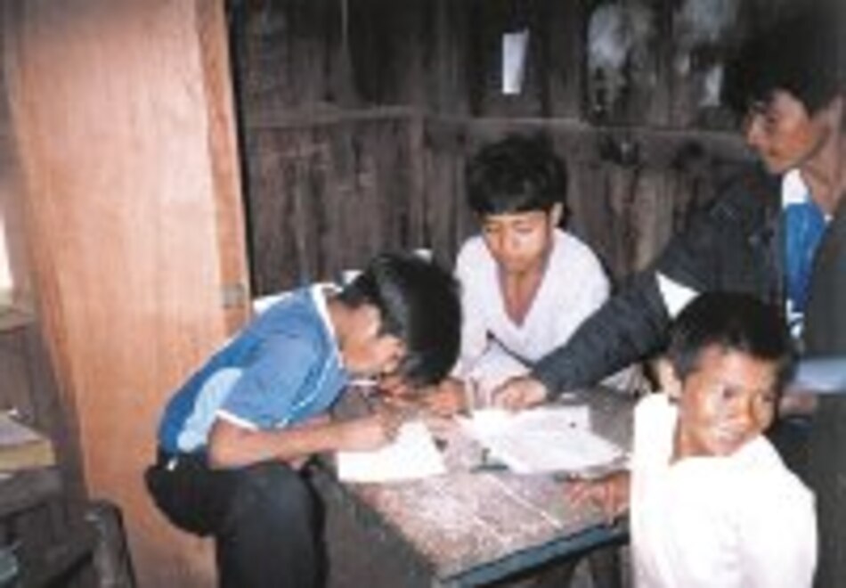 Guaraní, lengua oficial del Mercosur