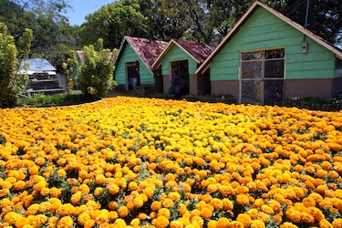 Sector turístico en Chiriquí se reactiva